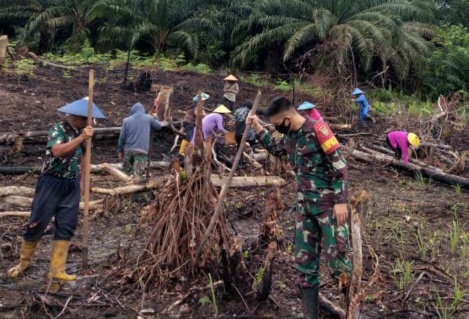 Dayak Tobak Bersama Anggota Satgas Yonif 144/JY lestarikan Budaya Nugal di Perbatasan