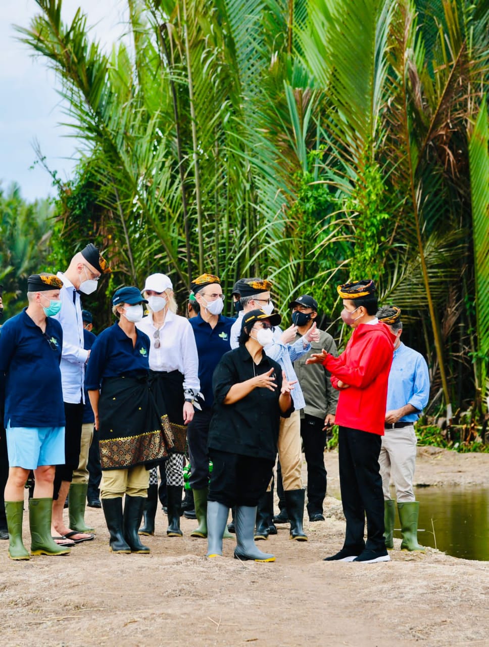 Tiba di Tana Tidung, Presiden Disambut Prosesi Adat Tepung Tawar