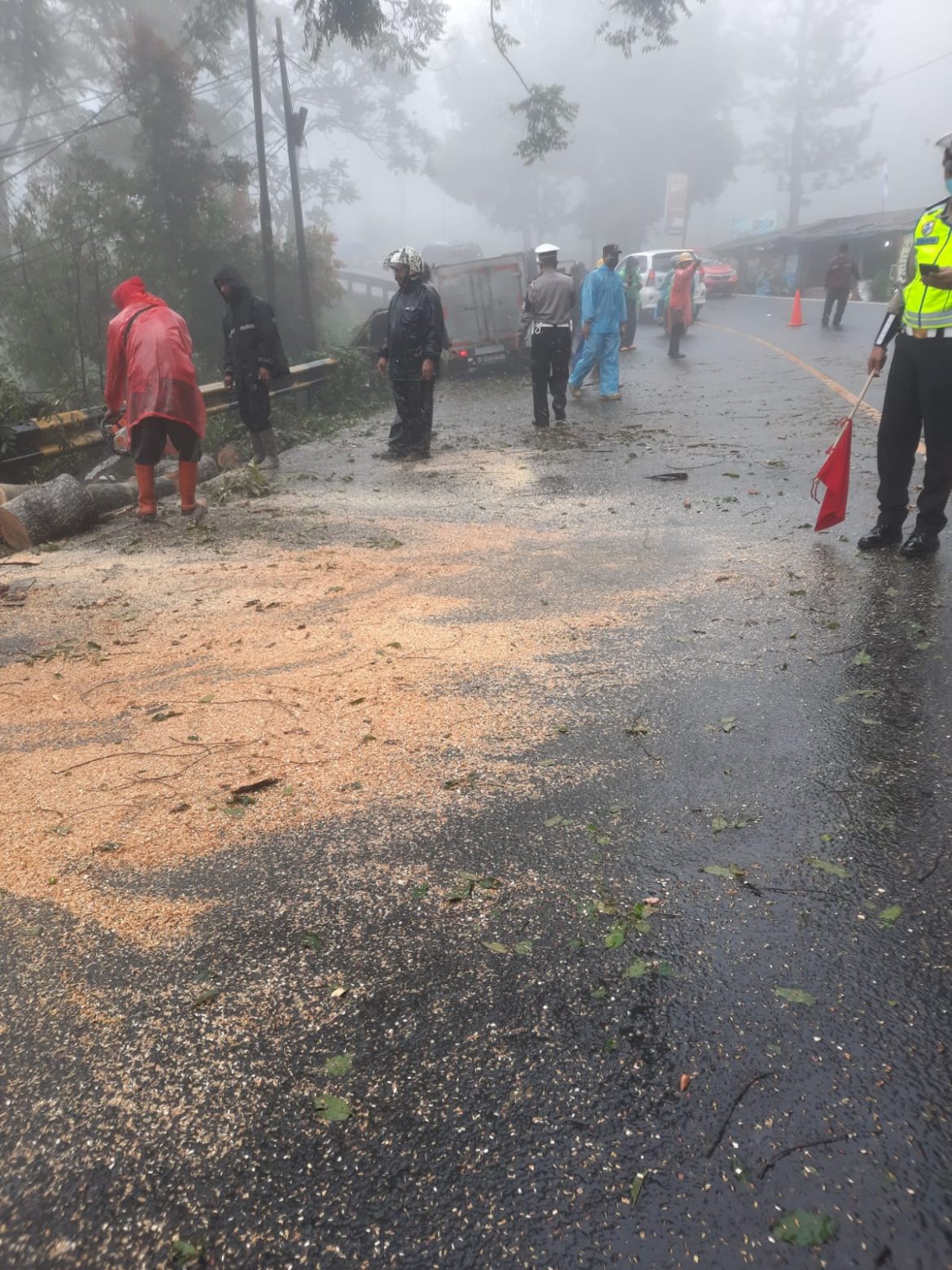 Pohon Tumbang Timpa Satu Unit Mobil Box di Cisarua Puncak