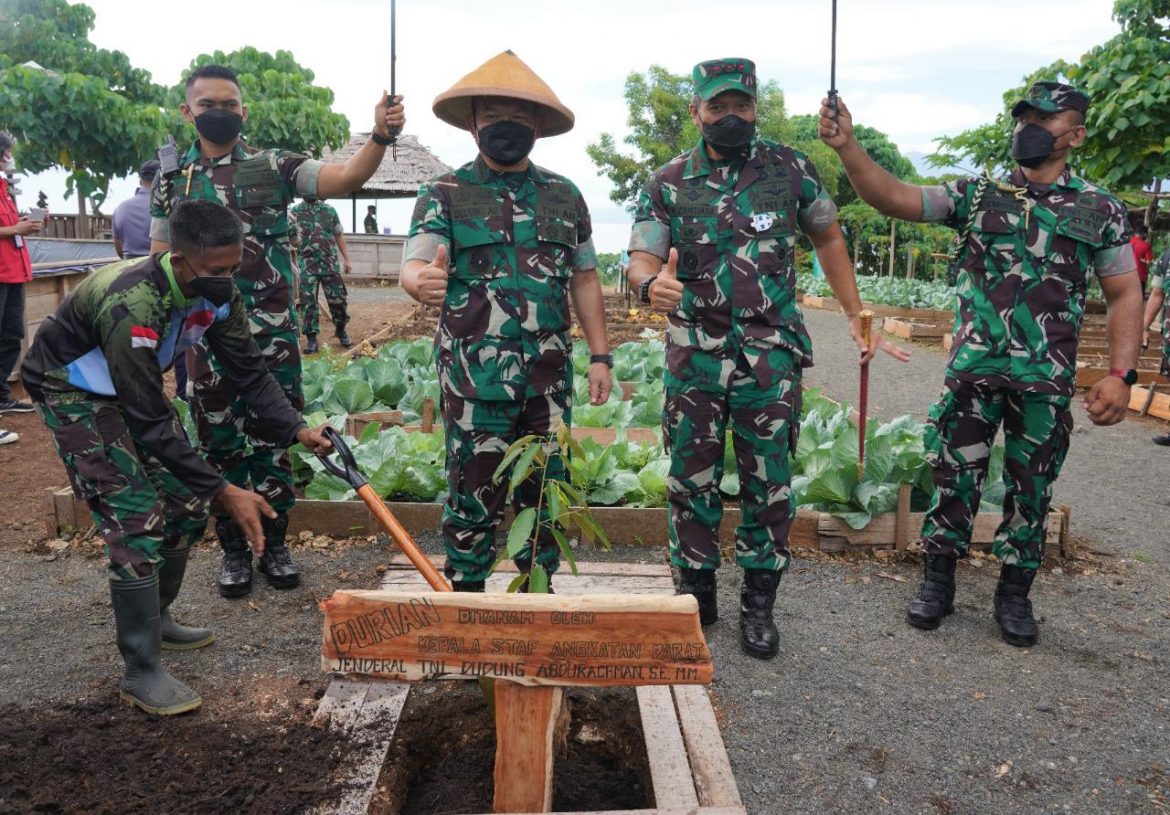 Kasad Panen Sayur dan Buah di Kasuari Green Kodam Kasuari