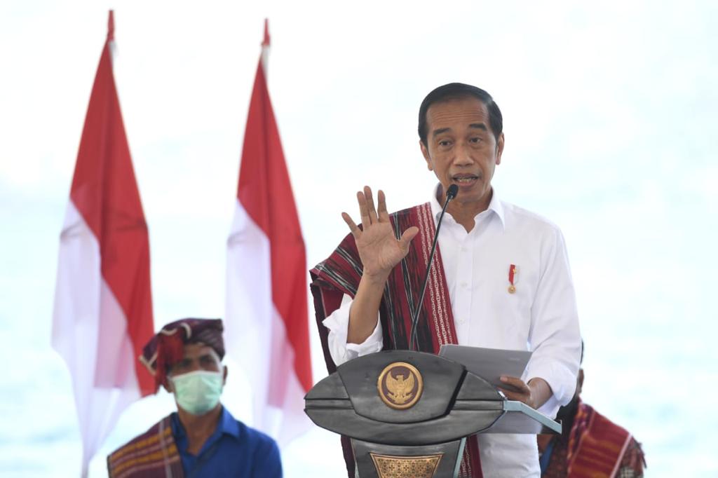 Serahkan SK Hutan Sosial dan TORA, Presiden: Segera Manfaatkan Lahan yang Ada