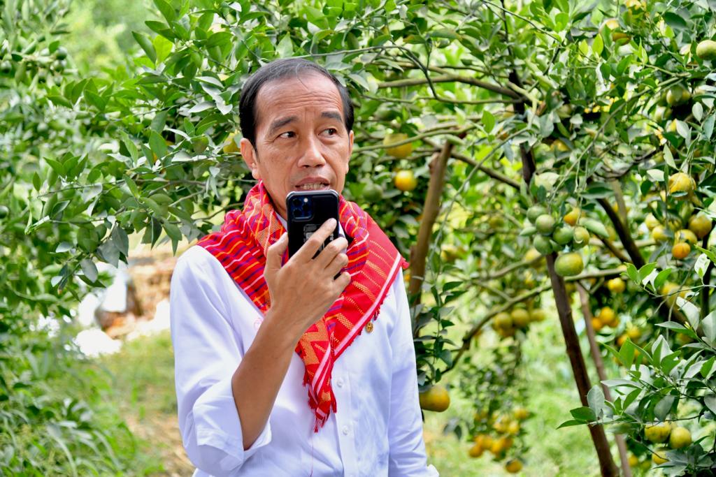 Tinjau Kampung Jeruk, Presiden Disambut Lagu Indonesia Raya di Sepanjang Jalan