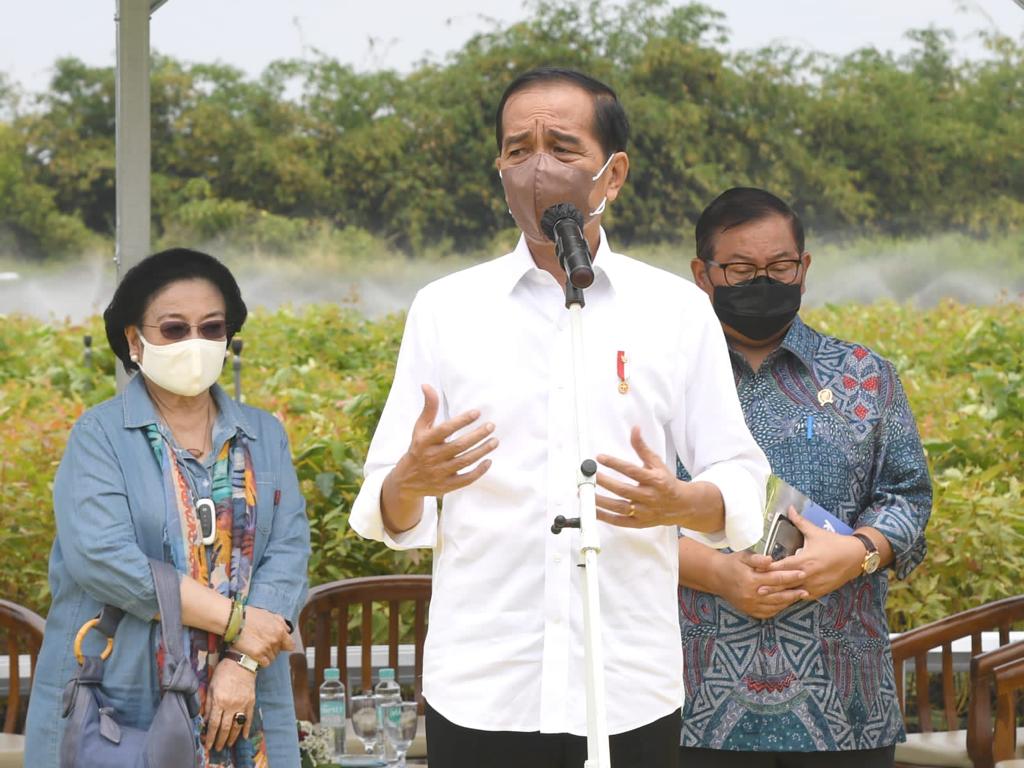 Presiden: Rehabilitasi Lahan Kritis Dimulai dari Pembangunan Persemaian