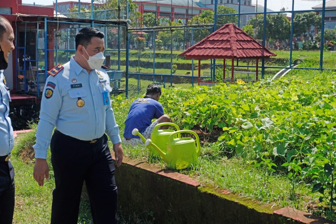 Panen Timun Suri, Rutan Kelas I Tangerang Sukseskan Program Pembinaan dan Kemandirian Kepada WBP di Bidang Pertanian