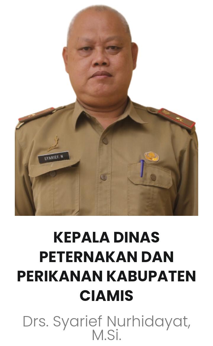 Beri Ilmu Kepada Juru Sembelih Disnakan Ciamis Gelar Acara Yang Bertema JULEHA