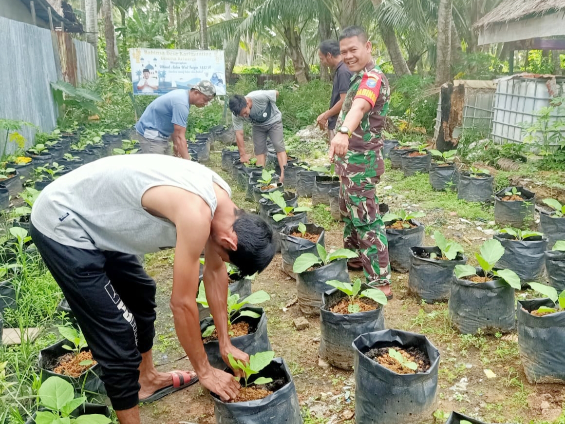 Dukung Hanpangan, Babinsa Karimunting Beri Pelatihan Tanam Sayur Kepada Warga Binaan