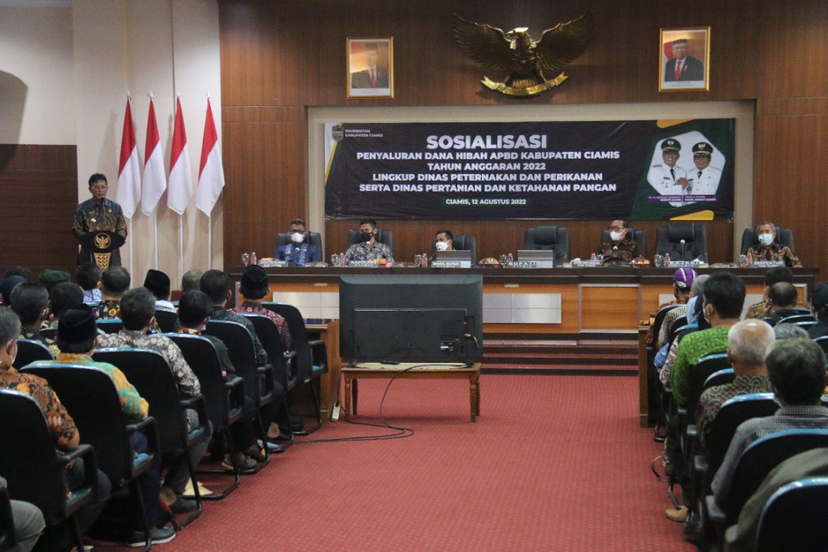 Buka Sosialisasi Penyaluran Dana Hibah, Bupati Ciamis: Penggunaan Anggaran Harus Tertib