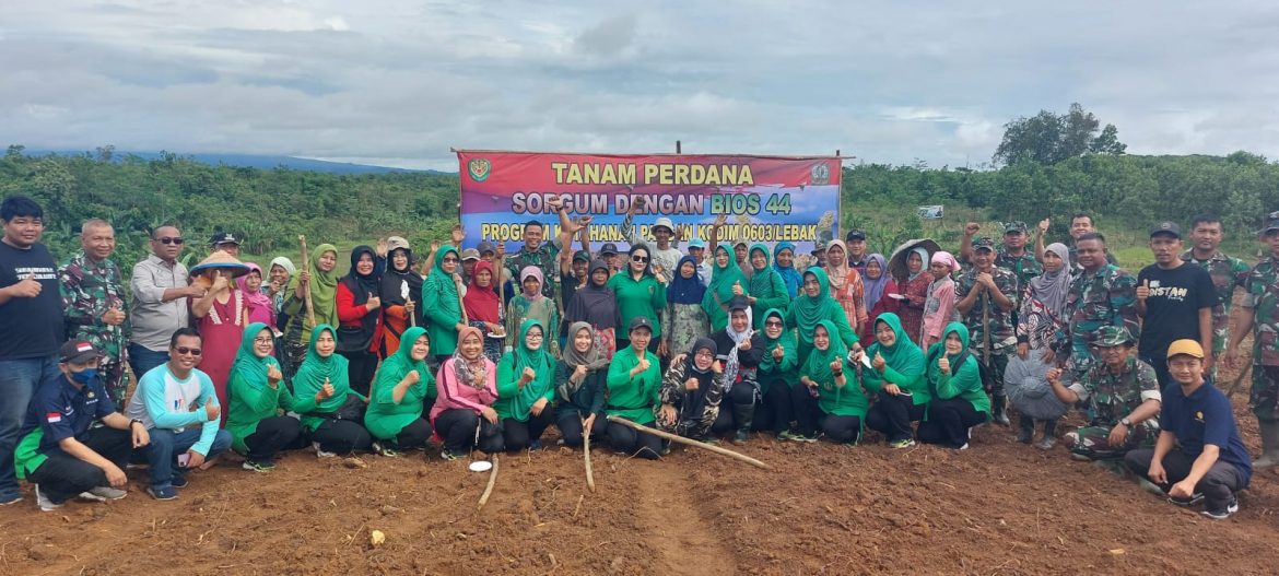 Tingkatkan Ketahanan Pangan Kodim 0603/Lebak Gunakan Bios 44 Untuk Tanaman Sorgum