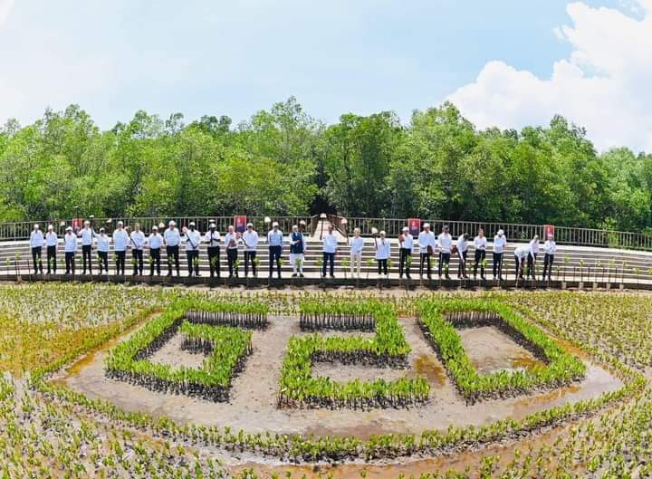 Presiden dan Para Pemimpin Negara G20 Tanam Pohon Mangrove di Tahura