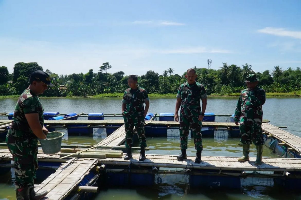Food Estate Kodim 0510/Trs Korem 052/Wkr adalah program unggulan Kodam Jaya