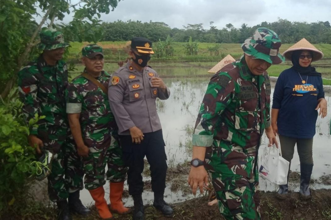 Kehadiran Kapolsek Banjarsari Bagian Sinergitas Polri Bersama TNI Dalam Menjaga Ketahanan Pangan