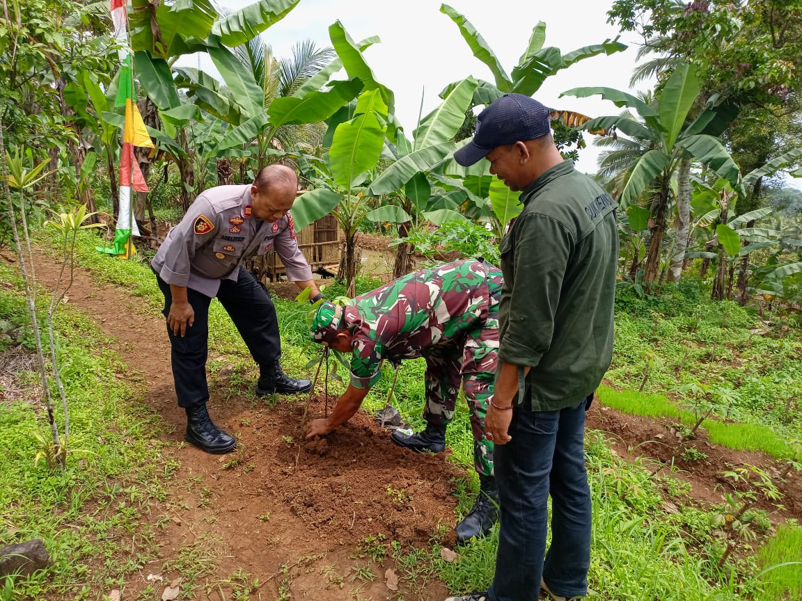 Menjaga Alam Tetap Asri, Kapolsek Cipaku Secara Simbolis Melakukan Penanaman Pohon