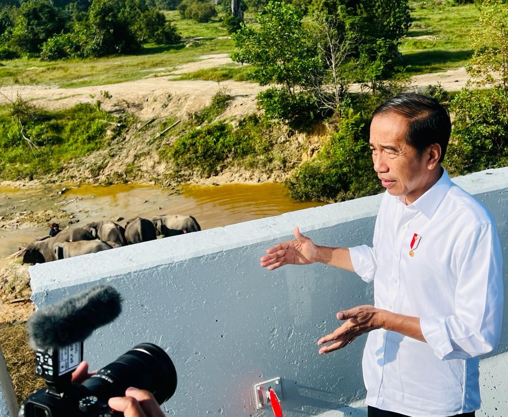 Presiden Tekankan Pembangunan Infrastruktur harus Ramah Lingkungan