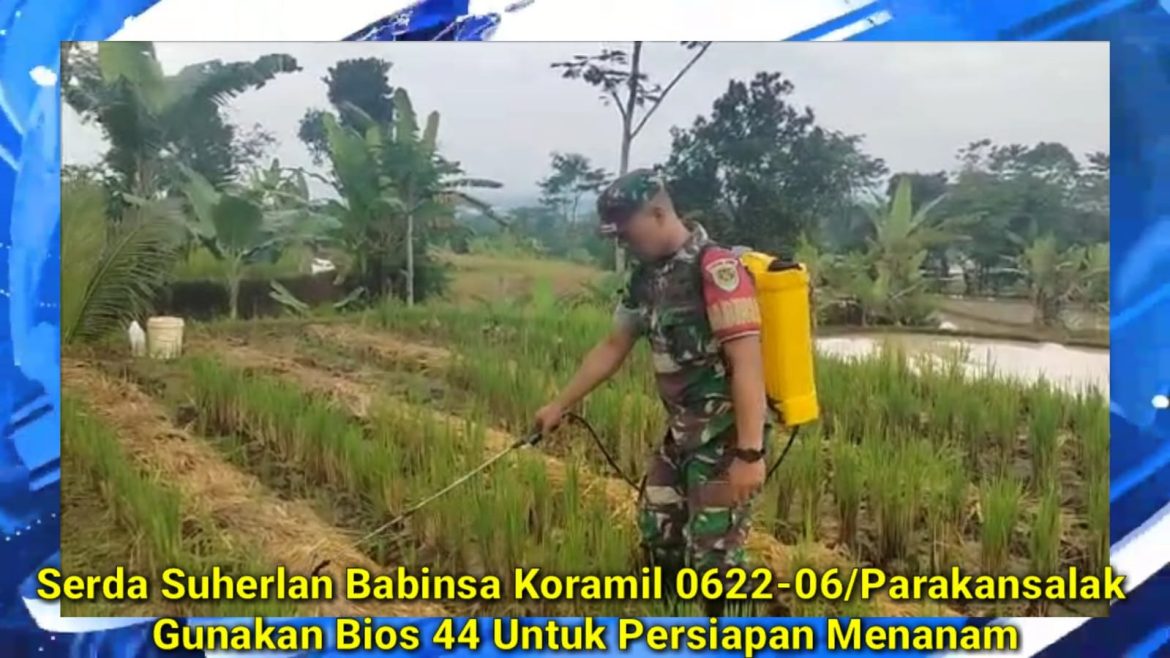 Serda Suherlan Gunakan Pupuk BIOS 44 Untuk Pertanian di Parakansalak