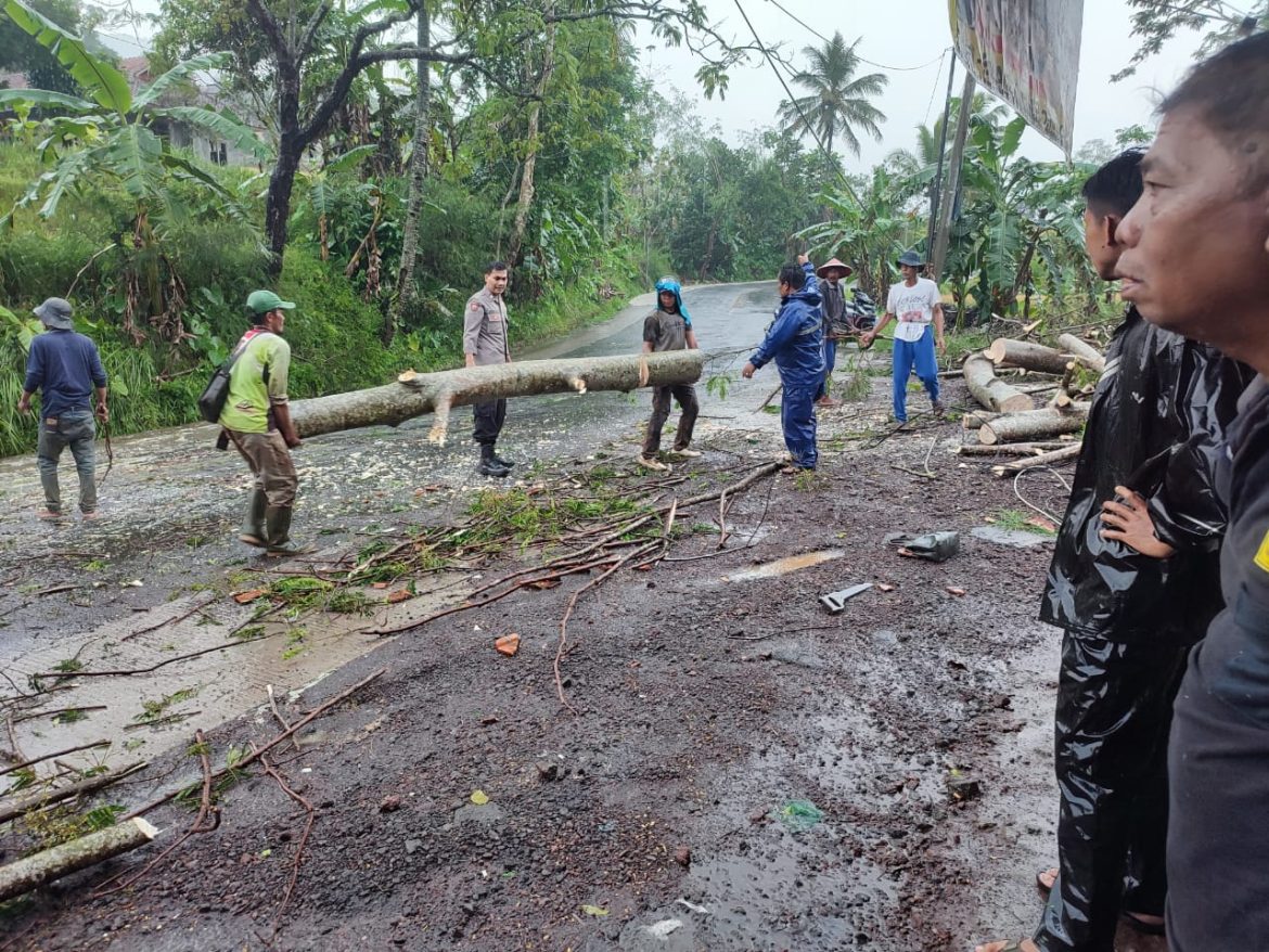 Polsek Panawangan Polres Ciamis: Tutupi Sebagian Ruas Jalan Nasional, Personel Bersama Warga Evakuasi Batang Pohon