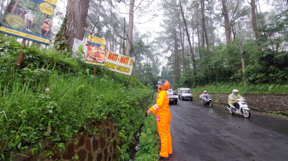 Anggota Tim SAR Sat Brimob Polda Jabar Cek Pohon Rawan Tumbang Di Jalan Raya Lembang