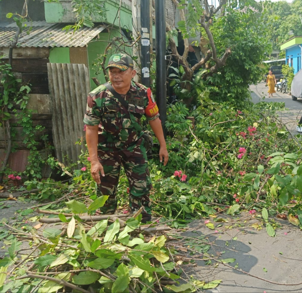 Babinsa Koramil 07/Kemayoran bersama PPSU melaksanakan kegiatan Penopingan Pohon