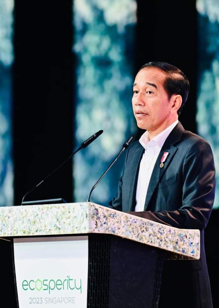 Ajak Pengusaha Singapura Investasi di IKN, Presiden Jokowi: This is A Golden Opportunity