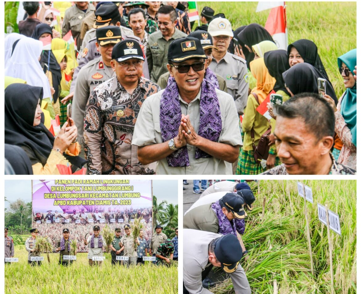 Berawal Tidak Percaya Ada Panen Raya di Desa Lumbung, Begini Penjelasan Bupati Herdiat