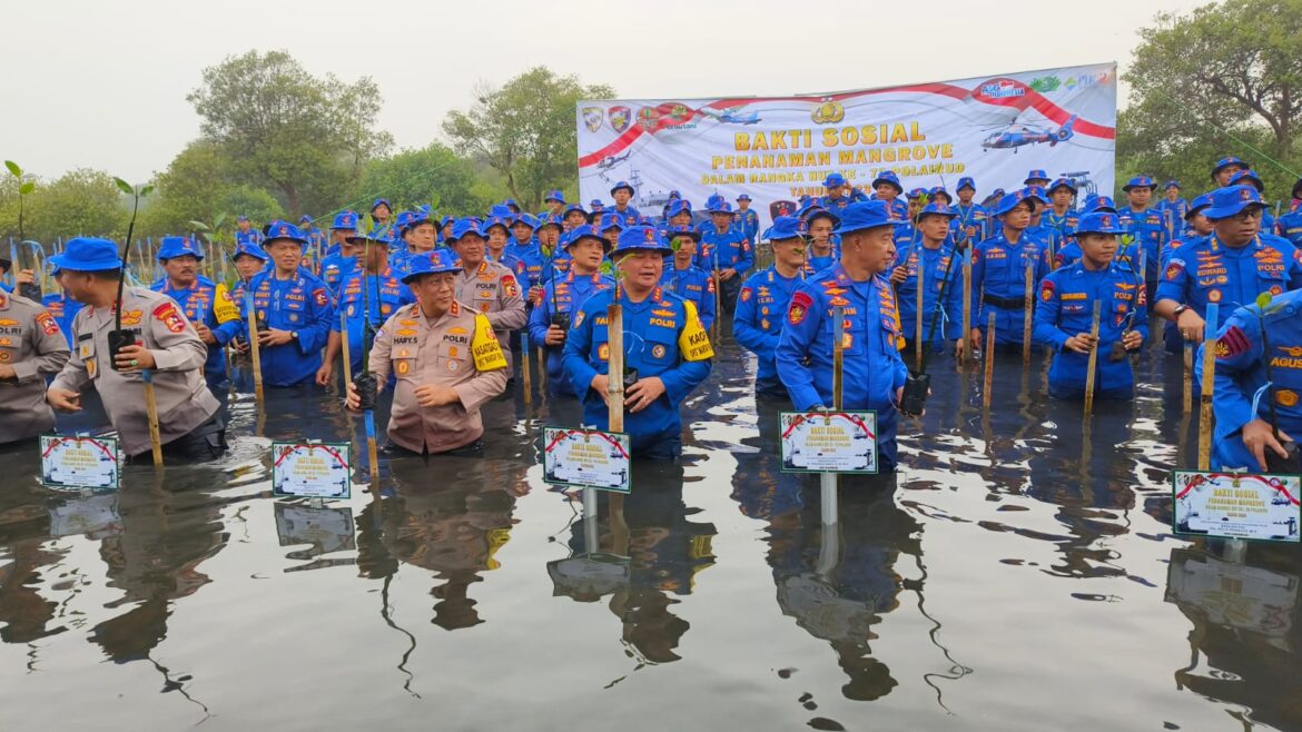 HUT Ke 73 Tahun Polairud Danramil 01/Teluknaga Dampingi Kabarhakam Polri Komjen Fadil Imran Tanam Mangrove Dan Bakti Sosial