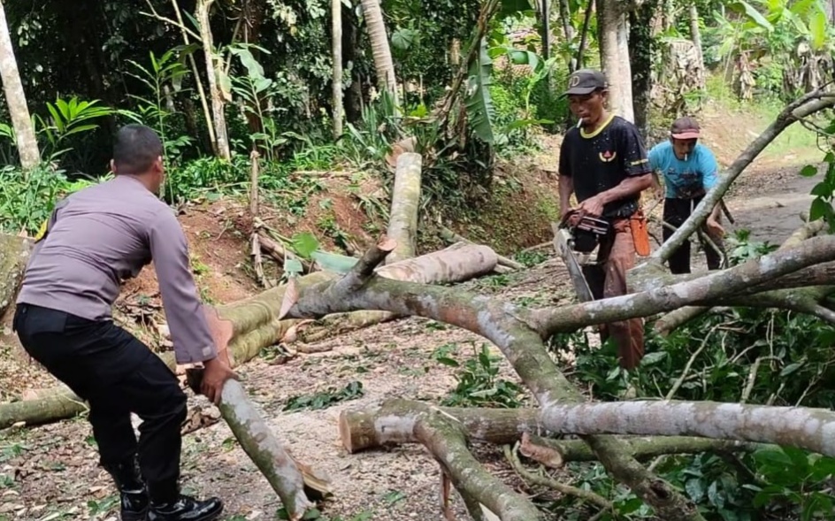 Tutupi Jalan, Polsek Cijeungjing Polres Bantu Warga Evakuasi Material Pohon Tumbang