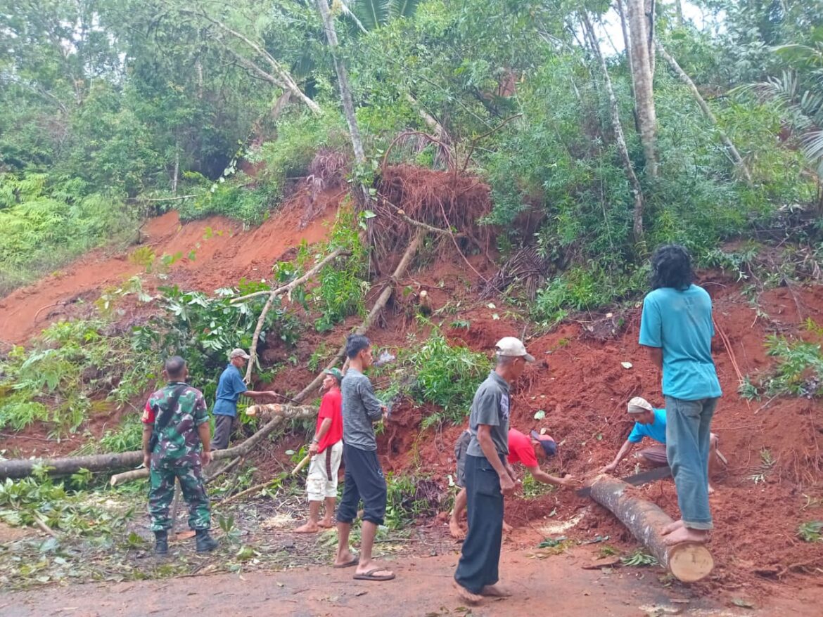 Hujan Deras, Jalan Akses ke Darmacaang Ciamis Tertutup Longsor