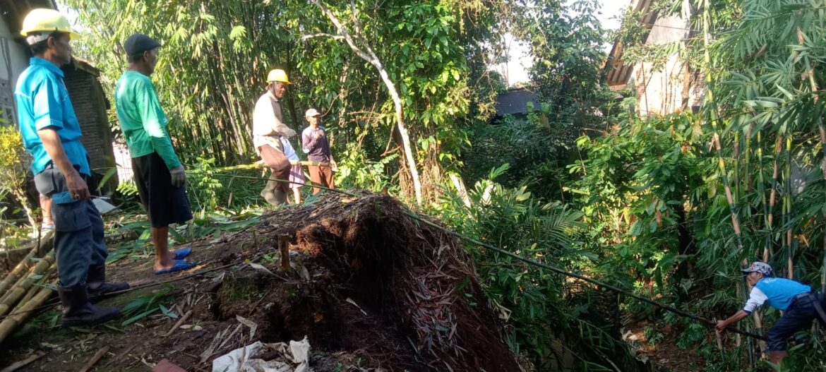 Polsek Cikoneng Polres Ciamis Bantu Evakuasi Dapur Rumah Warga Tertimpa Pohon