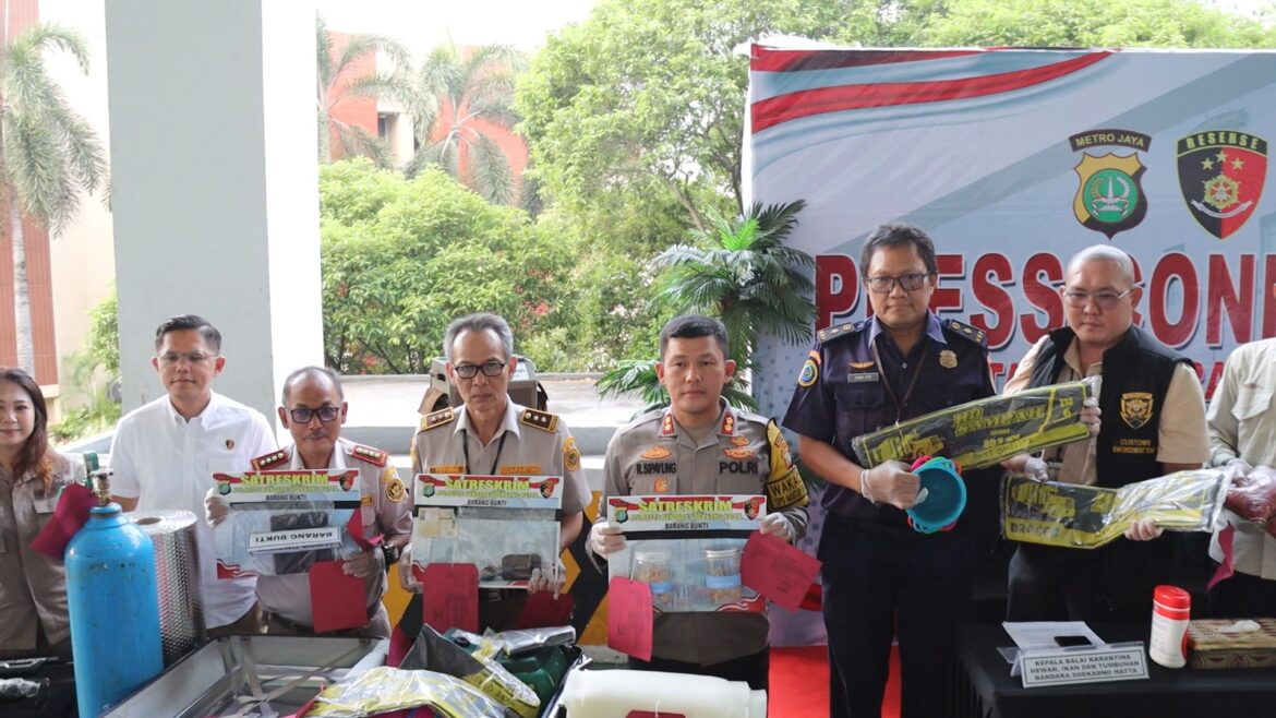 Polresta Bandara Soekarno – Hatta Berhasil Menggagalkan Upaya Penyelundupan Puluhan Ribu Ekor Benih Bening lobster
