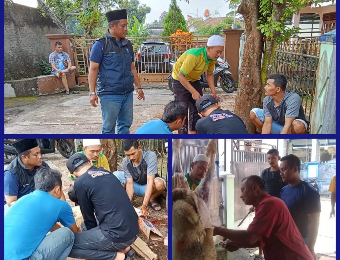 Idul Qurban 1445 H: DPC IPJI Ciamis Sembelih 1 Ekor Domba Untuk Dibagikan Kepada Anggota dan Masyarakat