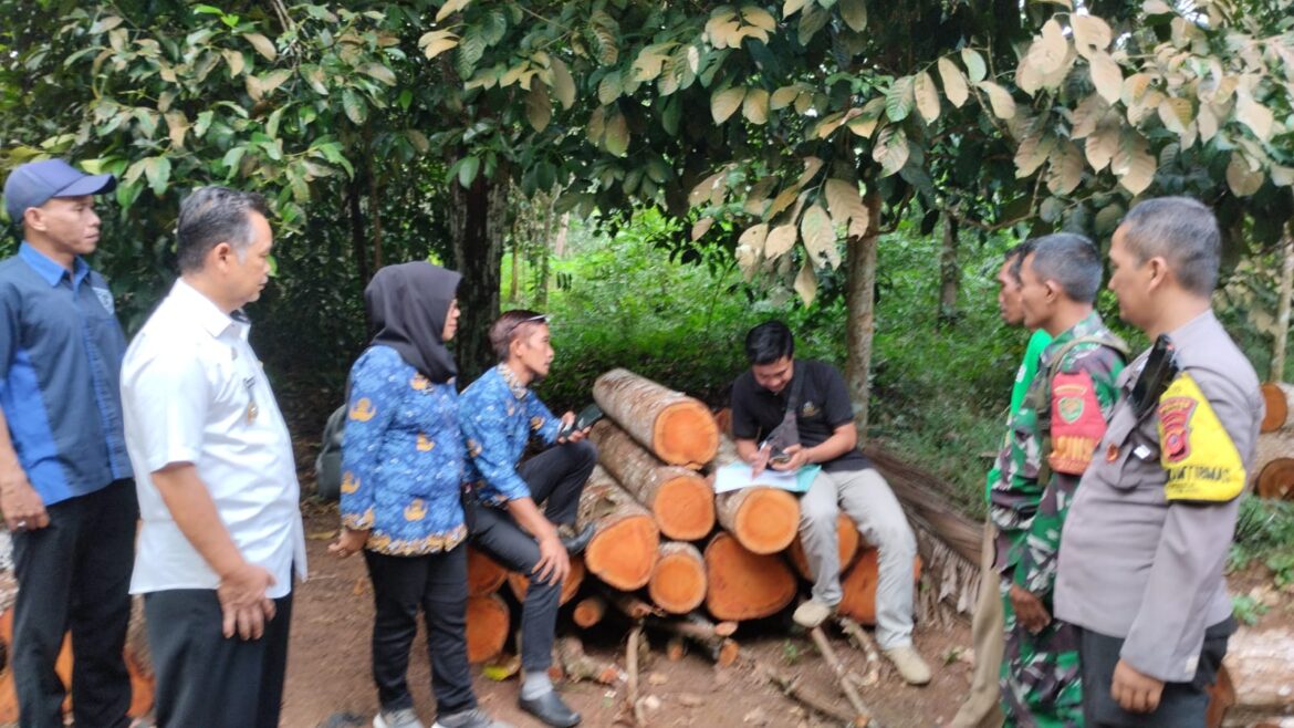 Peningkatan Infrastruktur Pertanian Polsek Cijeungjing Survey Langsung Lokasi Usaha Tani