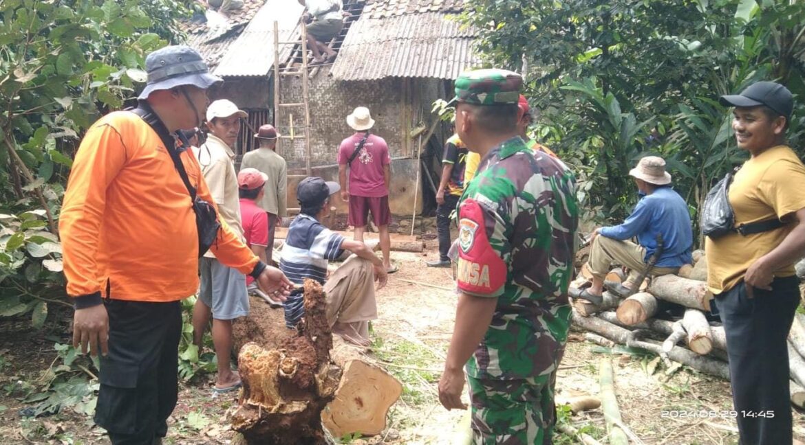 Personel Polsek Pamarican Datangi TKP Pohon Tumbang