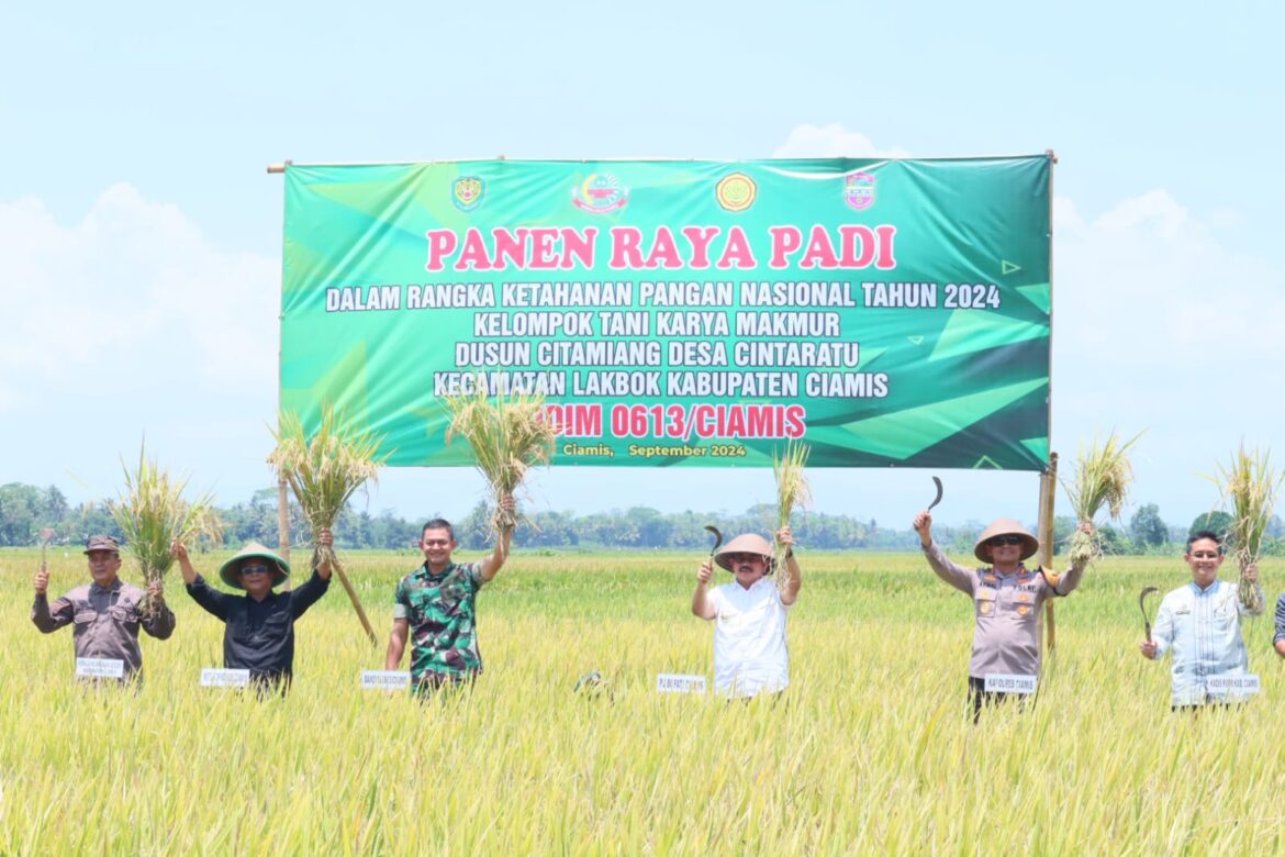 Kapolres Ciamis Ikuti Panen Raya Padi Kodim 0613/Ciamis di Lakbok