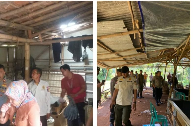 Polsek Cibinong bersama Instansi Terkait Tindak Lanjutin Laporan Masyarakat Terkait adanya Lokasi Judi Sambung Ayam