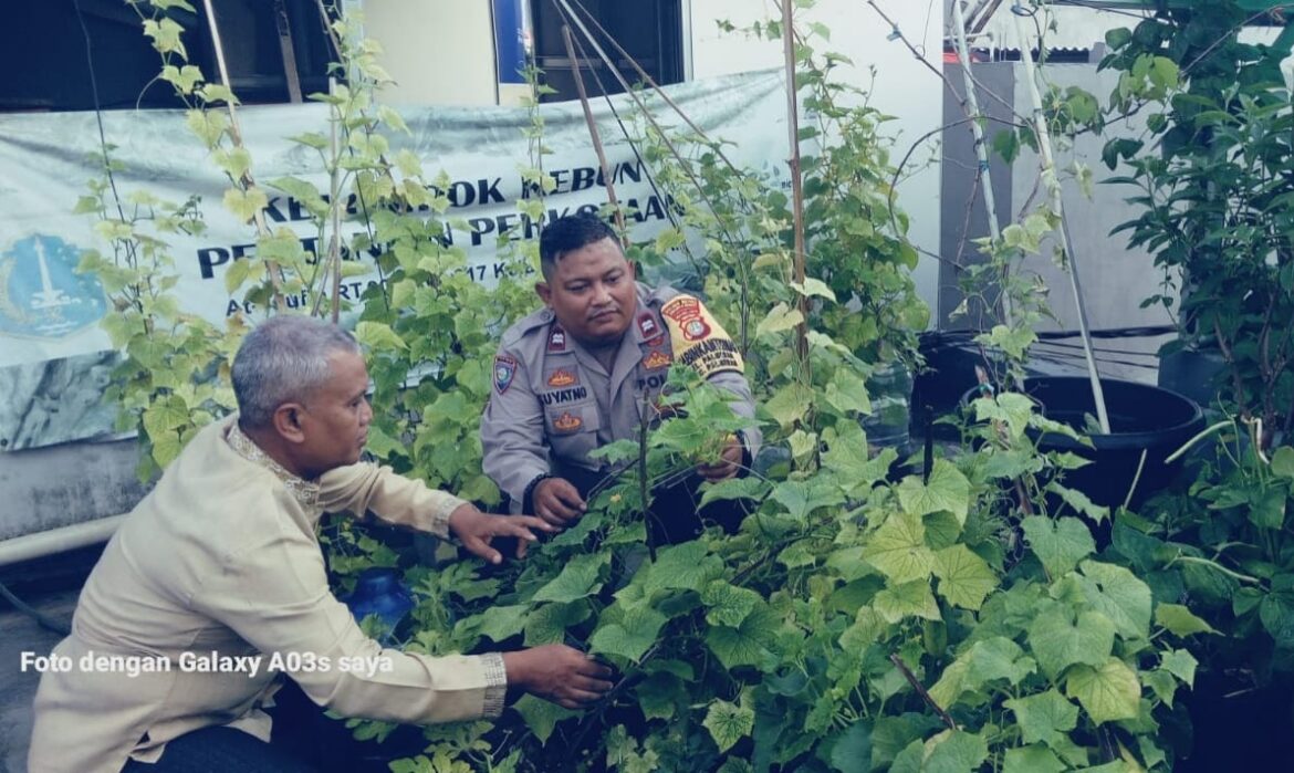 Bhabinkamtibmas Palmerah Bersama RW 17 Wujudkan Ketahanan Pangan Melalui Kebun Hidroponik