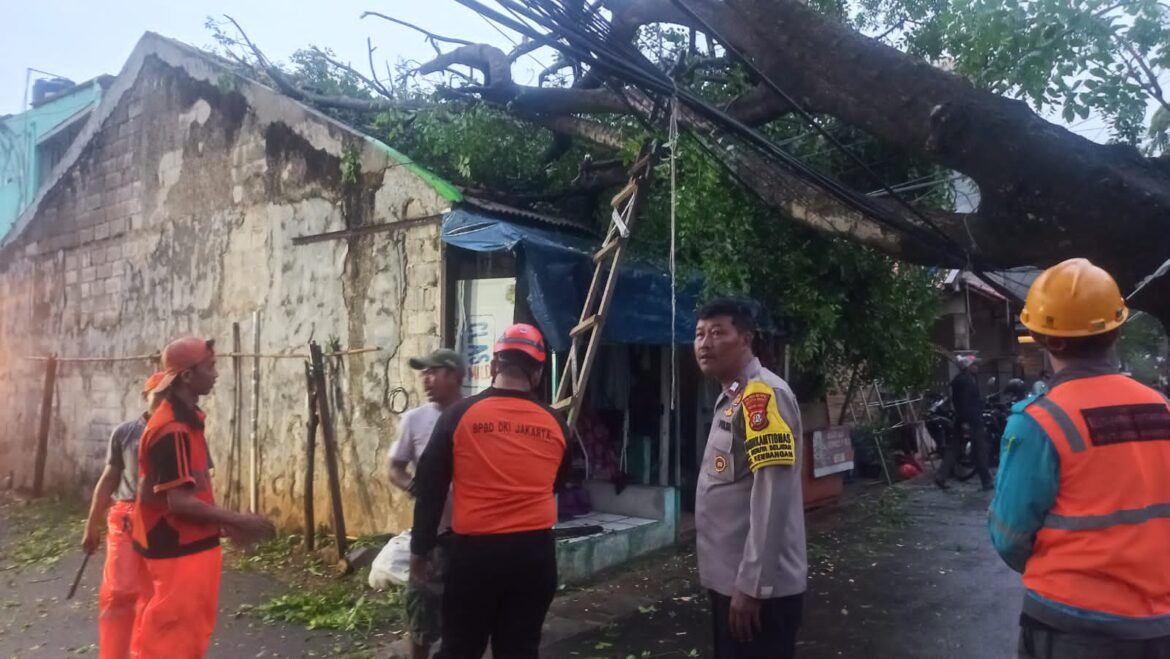 Gerak Cepat Polsek Kembangan Tanggapi Aduan Warga, Tangani Pohon Tumbang Akibat Hujan dan Angin Kencang