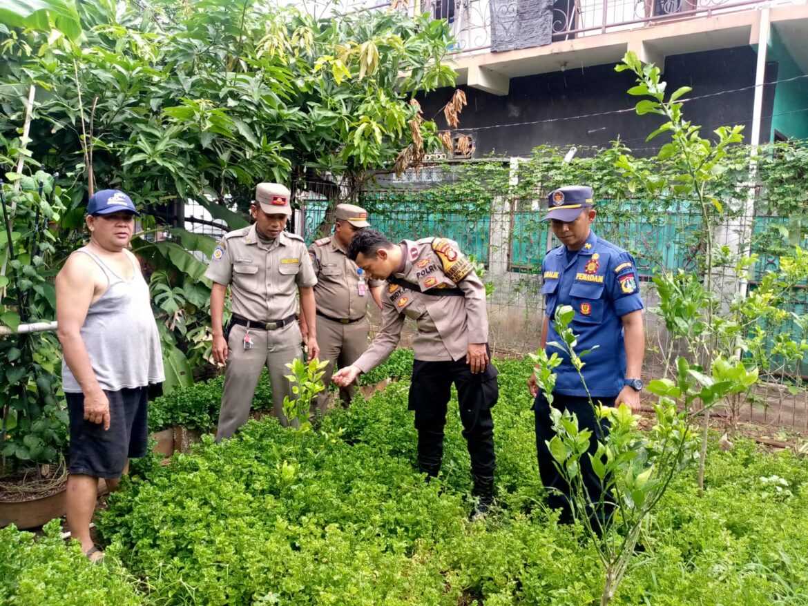 Bhabinkamtibmas Kota Bambu Selatan Cek Tanaman Pangan Warga, Perkuat Ketahanan Pangan Lokal