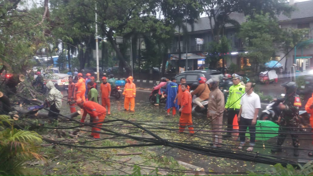 Polsek Kembangan Jakarta Barat Sigap Tanggap Tangani Pohon Tumbang Akibat Hujan Deras