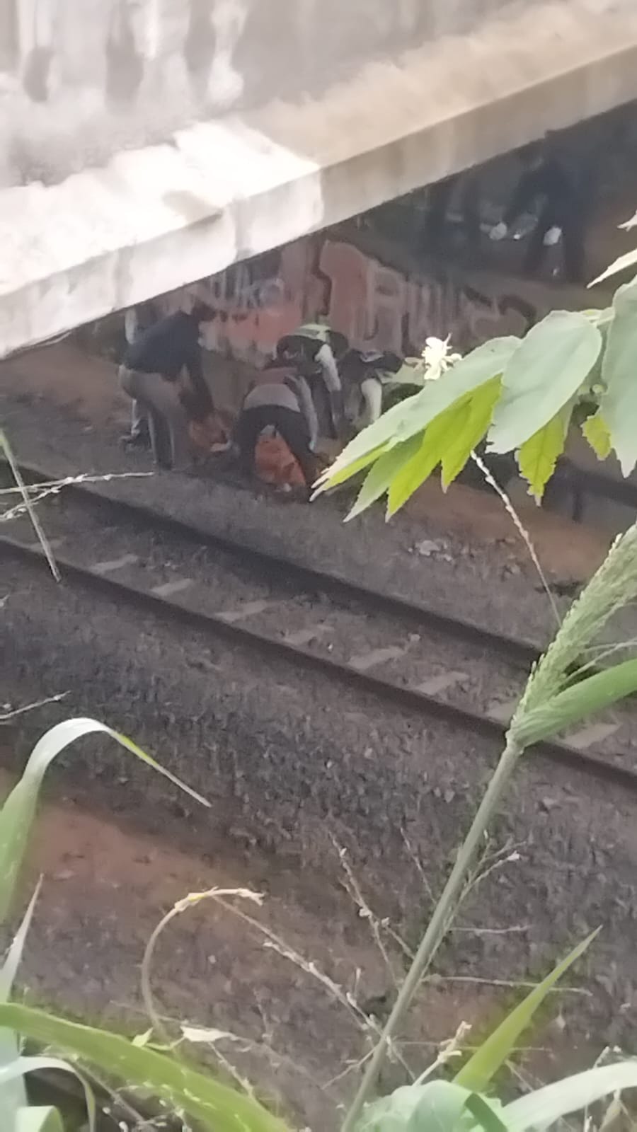 Polsek Cijeruk bersama Instansi Terkait Cek Lokasi TKP Adanya Orang Tertabrak Kereta di Wilayah Cigombong