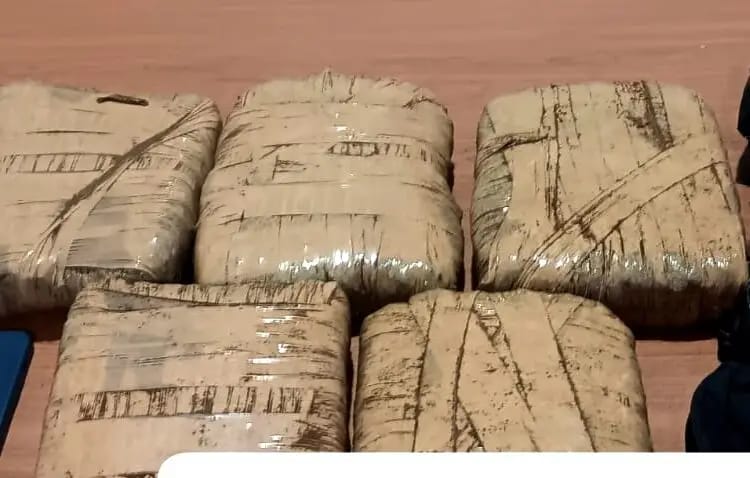 Polresta Bogor Kota Berhasil Bekuk Oknum Ojol Jadi Kurir Narkoba Jenis Ganja