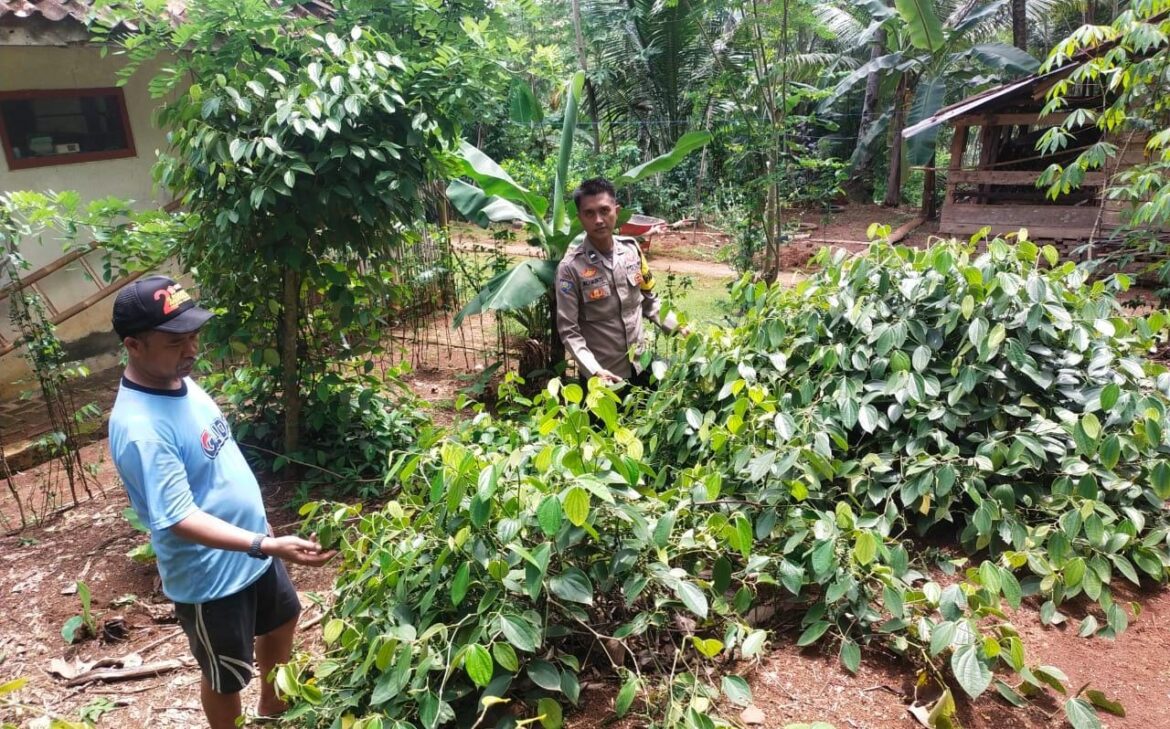Dukung Program Asta Cita, Polsek Cisaga Polres Ciamis Ajak Warga Tenjolaya Manfaatkan Lahan Jadi Produktif