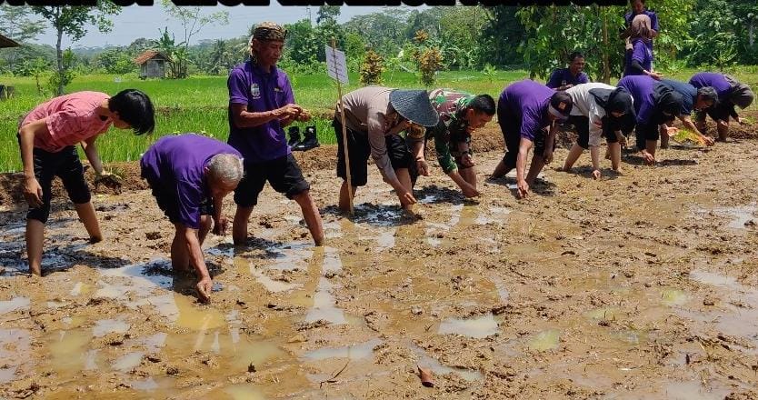 Polri Dukung Ketahanan Pangan, Bhabinkamtibmas Sambangi Kelompok Tani Logodor Dalka