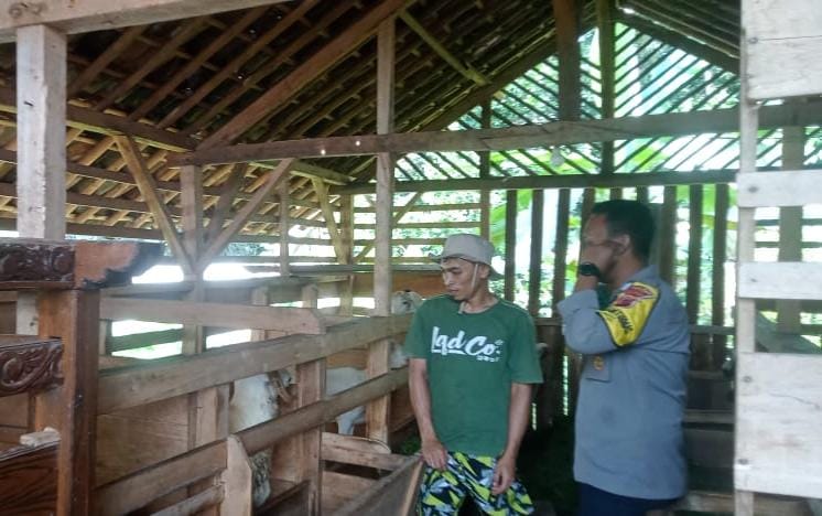 Dukung Asta Cita Presiden RI, Polsek Sukadana Ajak Peternak Domba Jaga HanPangan