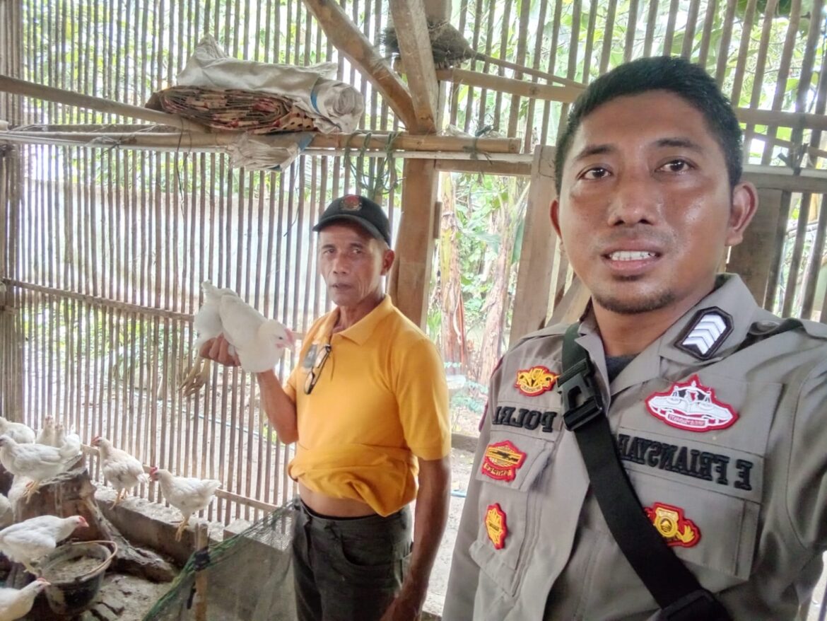 Dukung Asta Cita Presiden RI, Polsek Lakbok Ajak Peternak Ayam Tambakreja Jaga HanPangan