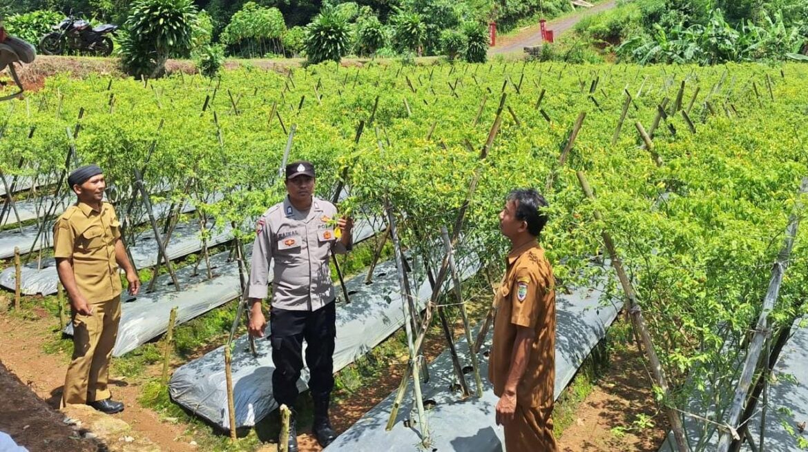 Dukung Asta Cita Presiden RI, Polsek Sukadana Ajak Warga Salakaria Buat Lahan Produktif