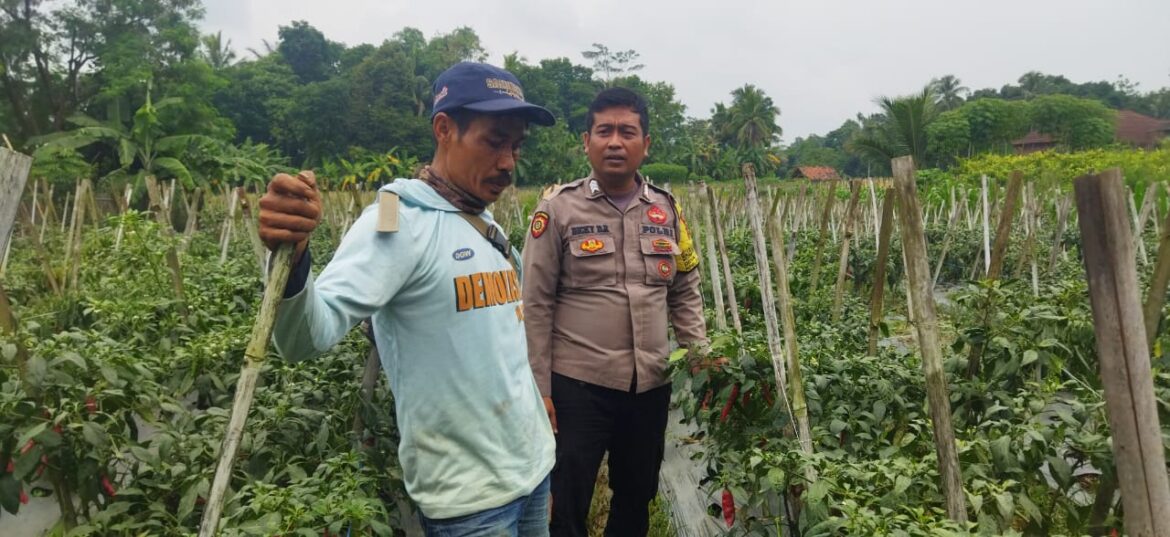 Polsek Cihaurbeuti Tingkatkan Sinergi dengan Warga Desa Cijulang untuk Jaga Keamanan