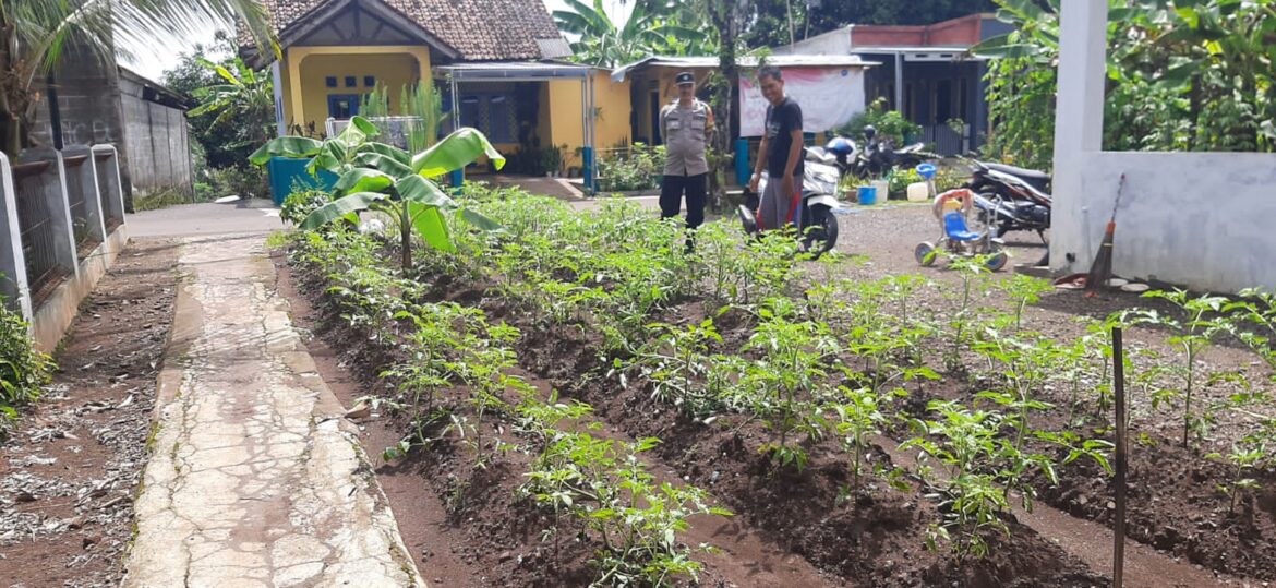 Dukung Asta Cita, Polsek Cisaga Polres Ciamis Ajak Warga Cisaga Manfaatkan Lahan Jadi Produktif