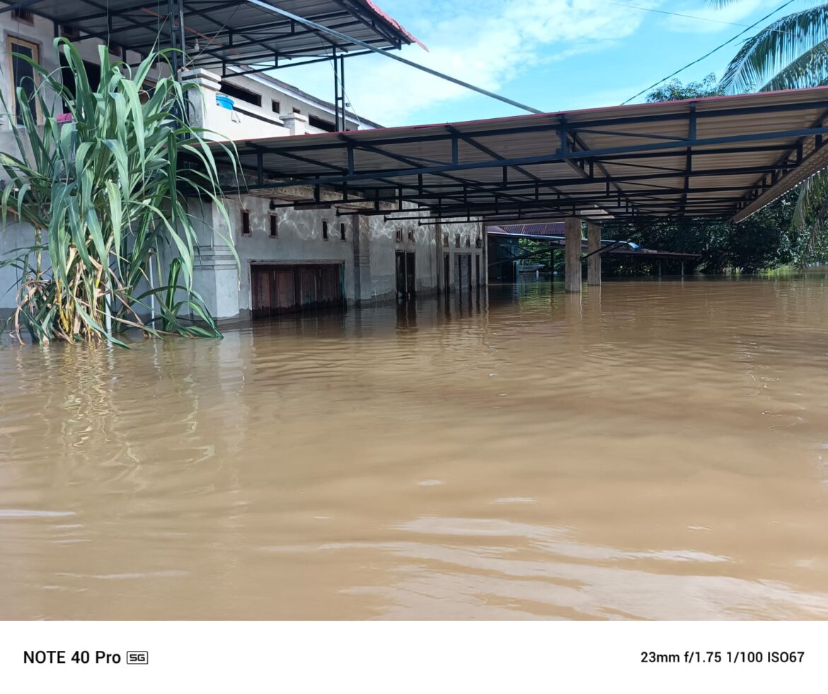 Ratusan Rumah di Kabupaten Landak Terendam Banjir, Warga Harapkan Bantuan Pemerintah