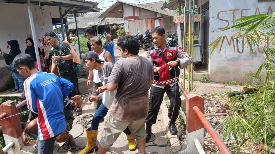 Sigap Personel Polsek Banjarsari Tangani Pohon Roboh Akibat Aliran Sungai Cikaso