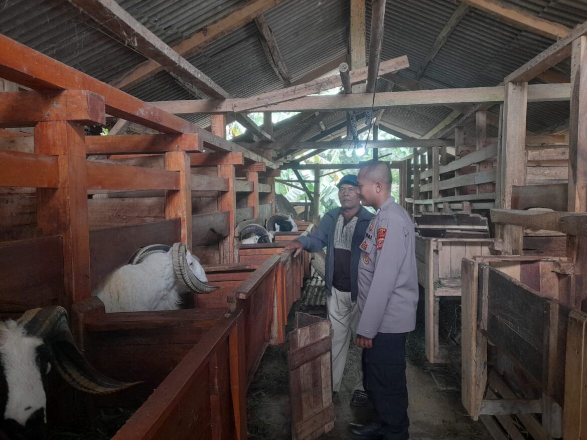 Jaga Keamanan dan Dukung Ketahanan Pangan, Kanit Binmas Polsek Rajadesa Sambangi Peternak Domba