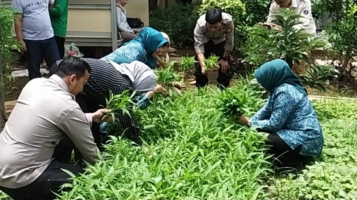Kolaborasi Polri, Dinas KPKP, dan Poktan 53 Bonjer: Panen Perdana di Kebun Bergizi